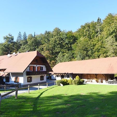 Domacija Seruga Countryside Hotel نوفو ميستو المظهر الخارجي الصورة