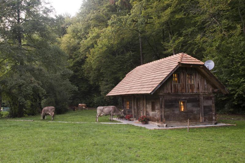 Domacija Seruga Countryside Hotel نوفو ميستو المظهر الخارجي الصورة