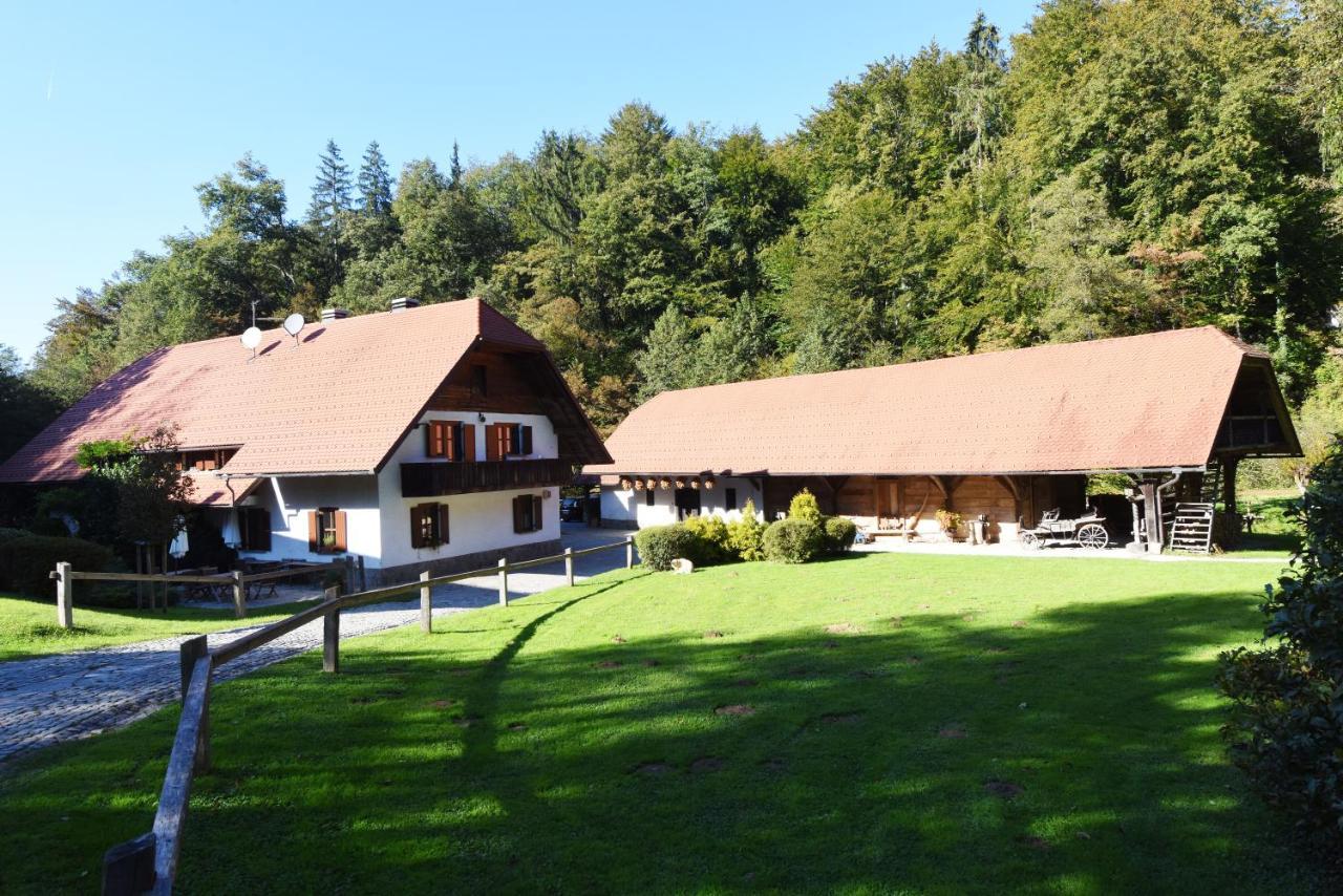 Domacija Seruga Countryside Hotel نوفو ميستو المظهر الخارجي الصورة